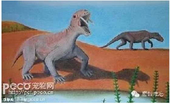 走進(jìn)牙齒的故事，訴說千年的演變