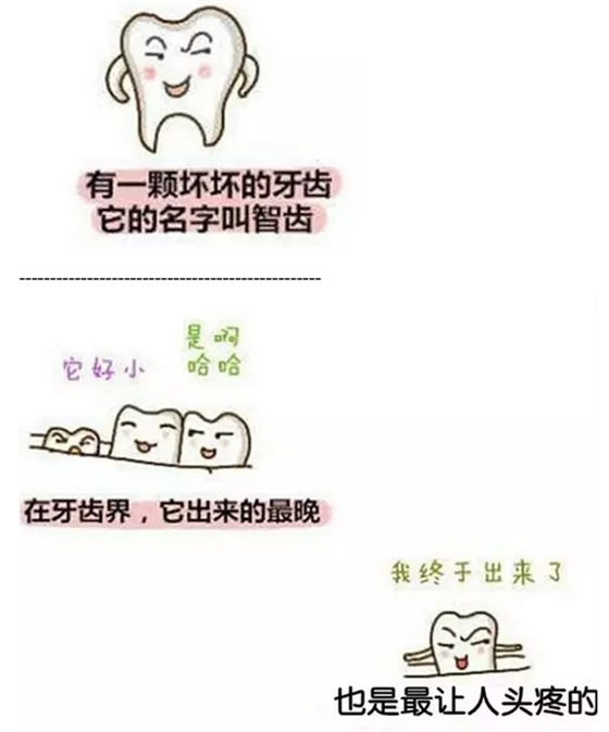 【口外科普】圖解為什么大部分智齒需要拔除？