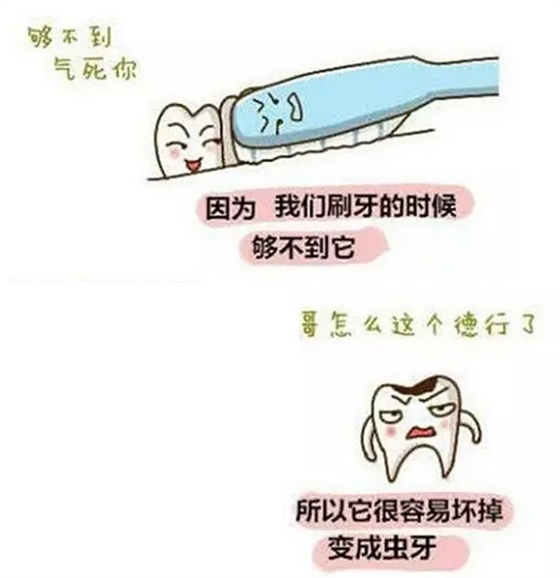 【口外科普】圖解為什么大部分智齒需要拔除？