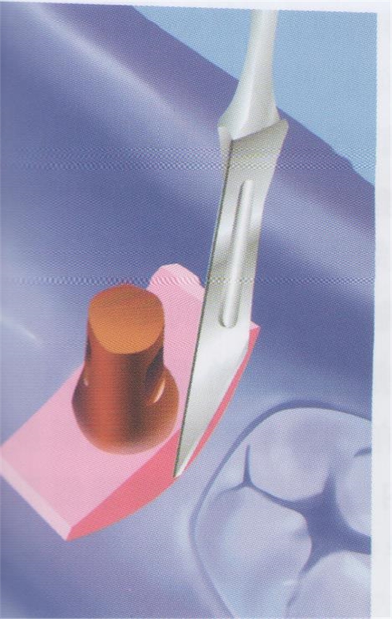 psb (1).jpg