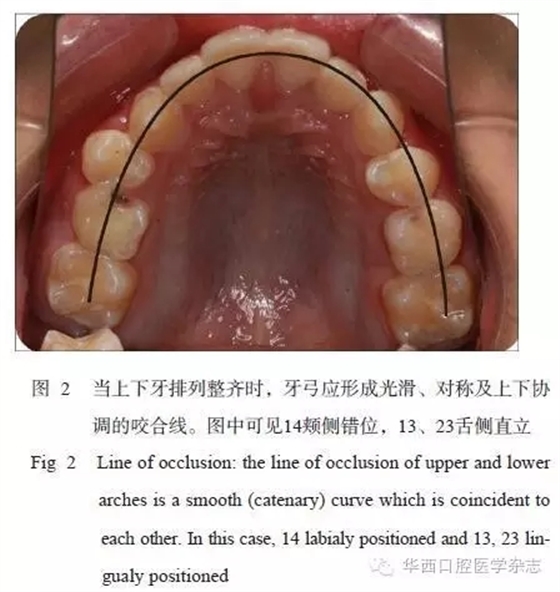 640.webp (3).jpg