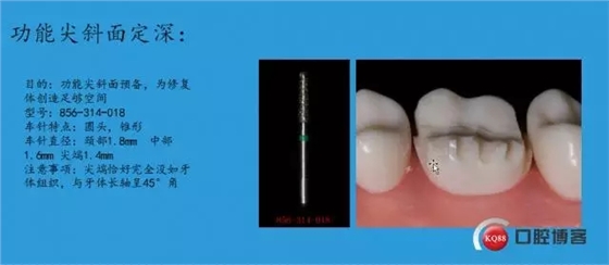 8.webp.jpg 8.webp.jpg