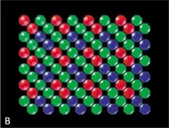 2.webp (1).jpg