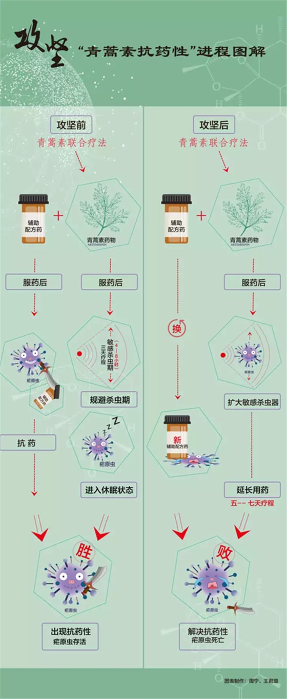 屠呦呦團(tuán)隊(duì)新突破！