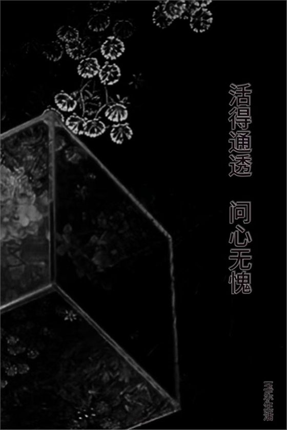 攝影愛好