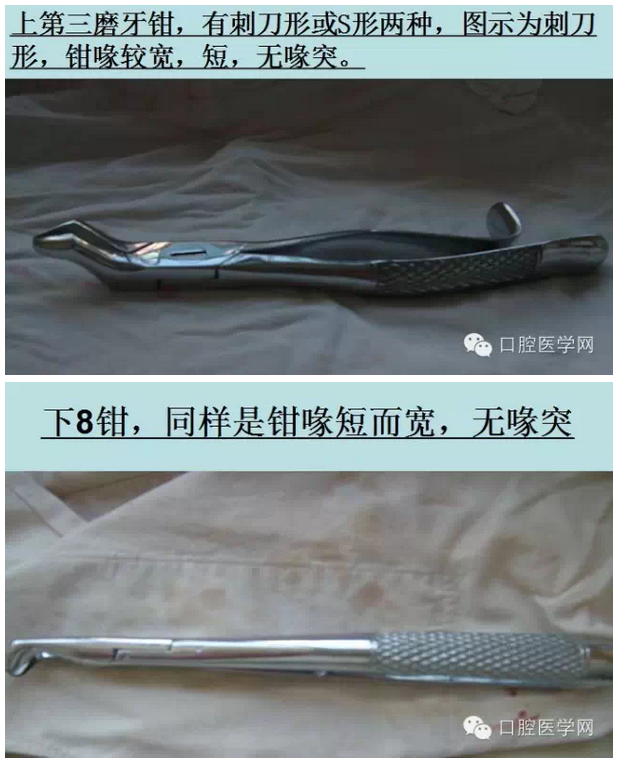 鉗子、挺子、錘子......口外基礎(chǔ)知識(shí)匯總