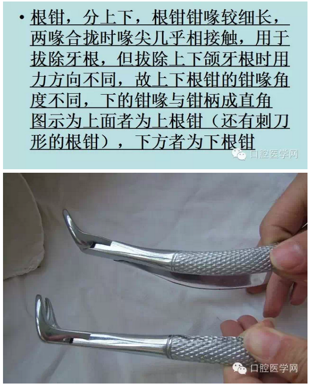 鉗子、挺子、錘子......口外基礎(chǔ)知識(shí)匯總