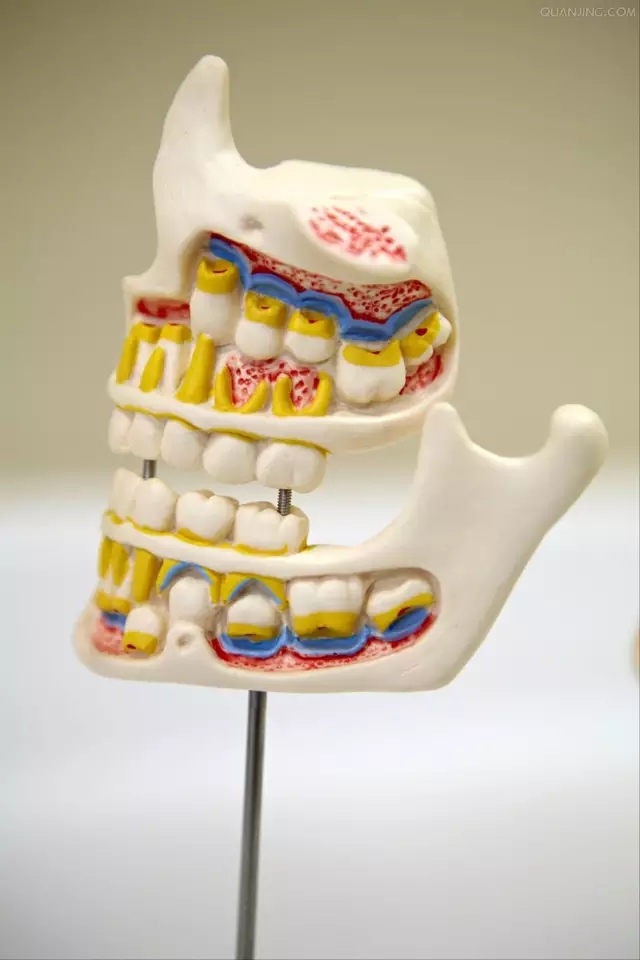 	無(wú)牙頜種植修復(fù)的檢查與設(shè)計(jì)——施斌教授
