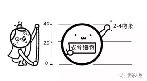 如何選擇種植牙，給《患者》推薦這篇文章就足矣