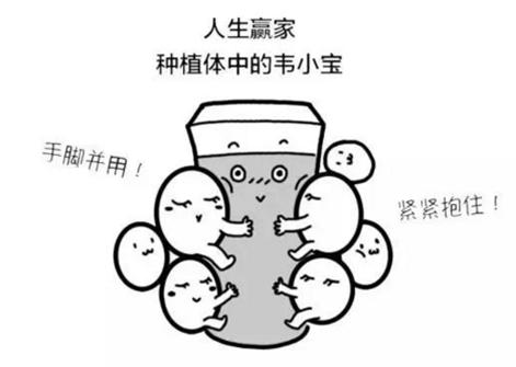 如何選擇種植牙，給《患者》推薦這篇文章就足矣