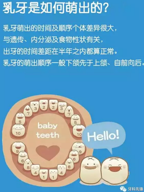 0~6歲寶寶口腔知識(shí)干貨集錦