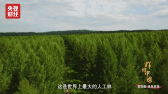 小崔的曝光讓人震驚？然而今天，這些人才是值得去曝的！