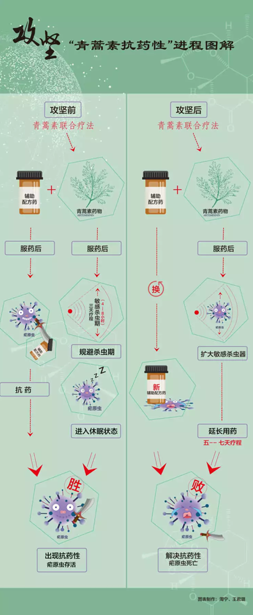 屠呦呦團(tuán)隊新突破！
