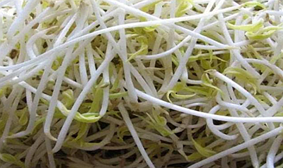 你知道綠豆芽是怎么種出來的嗎？疫情當前解決吃菜問題