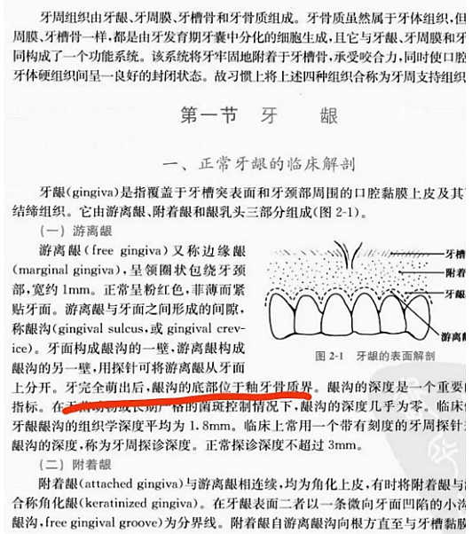 牙周解剖（一）：角化齦和附著齦爭(zhēng)議總結(jié)