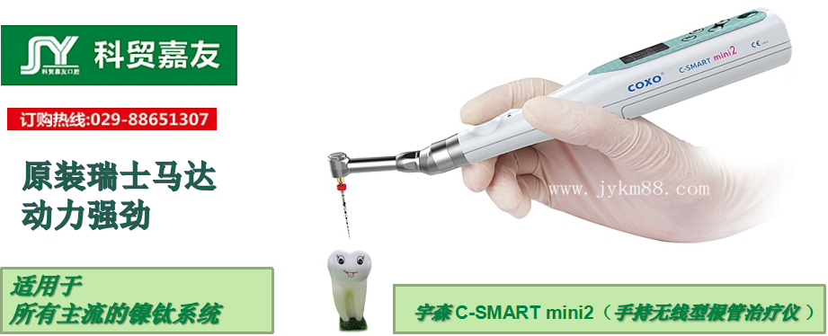 宇森經(jīng)濟(jì)普及型無線根管治療儀C-SMART MINI
